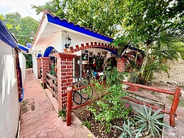 La Casa Del Arbol