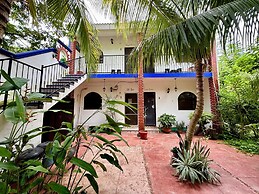 La Casa Del Arbol