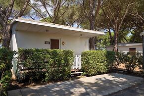 Camping Village Costa D'Argento