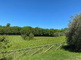 Agriturismo Borgo Sette Tigli