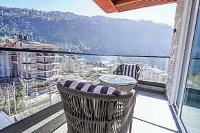 Carom Hotel Manali
