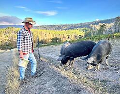 Hamlet Downs Country Accom