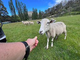 Hamlet Downs Country Accom