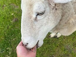Hamlet Downs Country Accom