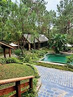 Amaya Home