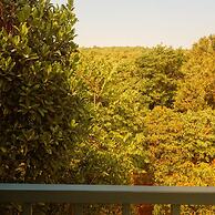 Arambol Bliss Hote Apartments