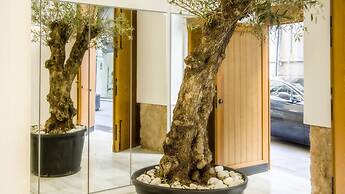 Catalina Suites Downtown Valencia