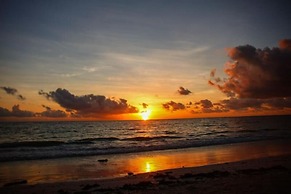 Protels La Plage