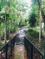 Ecoasis Mami Wata Rainforest Haven
