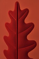 Corte degli Ostinati