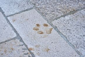 Corte degli Ostinati