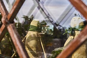 Corte degli Ostinati