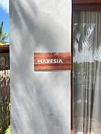 Refúgio do Igarapé