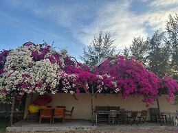 Orchid Boutique Beach Resort