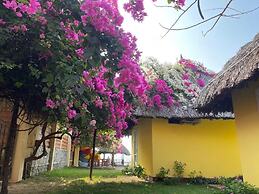 Orchid Boutique Beach Resort