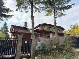 Yarema Forest House