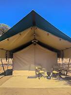 Malaika Ndutu Migration Camp