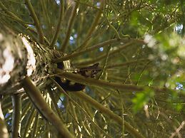 5 Star Holiday Home in Gorlev