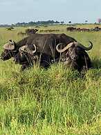 Oreteti Mara Lodge