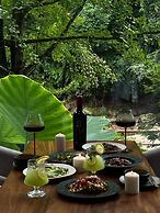 Verdant Haven