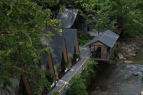 Verdant Haven