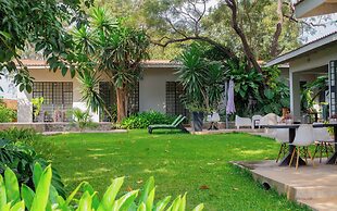 Mitengo House