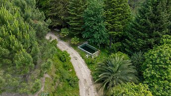 Prendal Eco Living Villa II - Minho s Guest