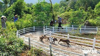 Cay Sao Beach Glamping Phu Quoc