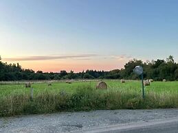 Aux Petits Bourgeons