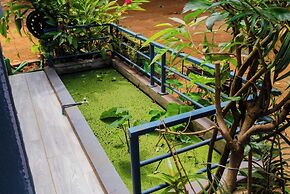 Cattleya Guest House