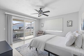 Campfire Turtle Mound