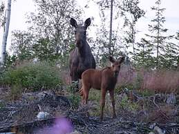 Holiday Home Hammarstrand