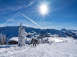 Mount-apartment Directly on Ski-slopes