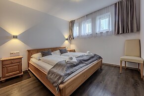 Mount-apartment Directly on Ski-slopes