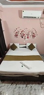 Hotel Krishna Inn