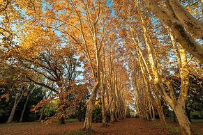 Château de Campuget