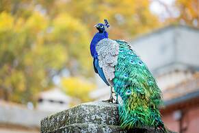 Château de Campuget