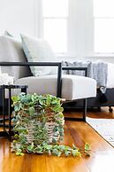 Designer Styled Studio in Central Trendy Glebe