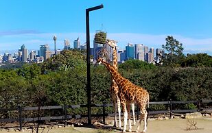 Explore Sydney From Stylish North Shore Apartment