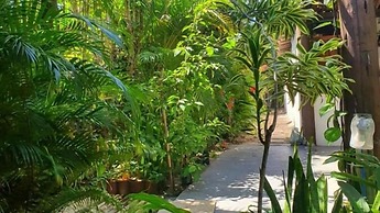 Corais Do Sul