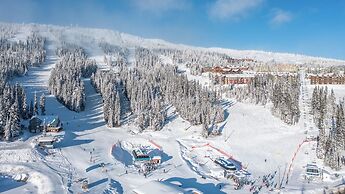 Raven's Nest - Mtn View & Hot Tub
