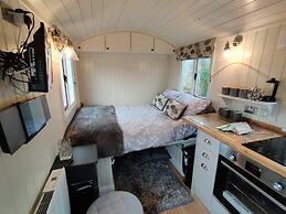 Duck House - 1 Bed Shepherds Hut - Gower