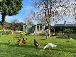 Duck House - 1 Bed Shepherds Hut - Gower