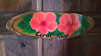 Hibiscus House Bed and Breakfast