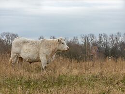 Modern Holiday Home Near Beach