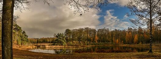 Cozy Treehouse Retreat in Overijssel