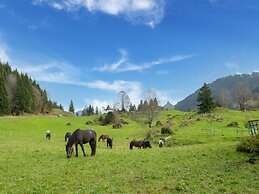 Dog-friendly Holiday Apartment in Bregenzerwald