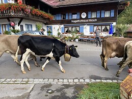 Nagelfluhhaus Hirsch