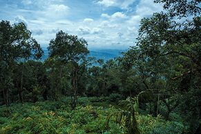 Bracknell Resort Munnar