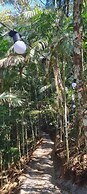Tree House